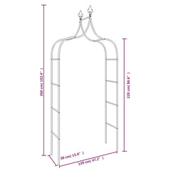 Garden arches 2 pcs black 120x38x260 cm steel